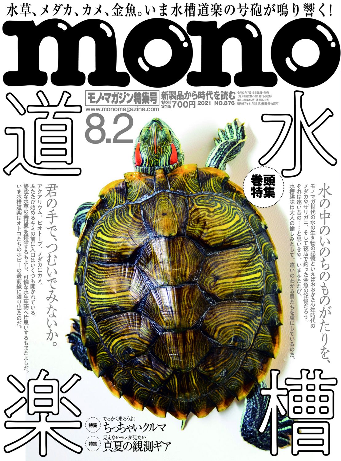 水草、メダカ、カメ、金魚。いまこそ水槽道楽を始めませんか