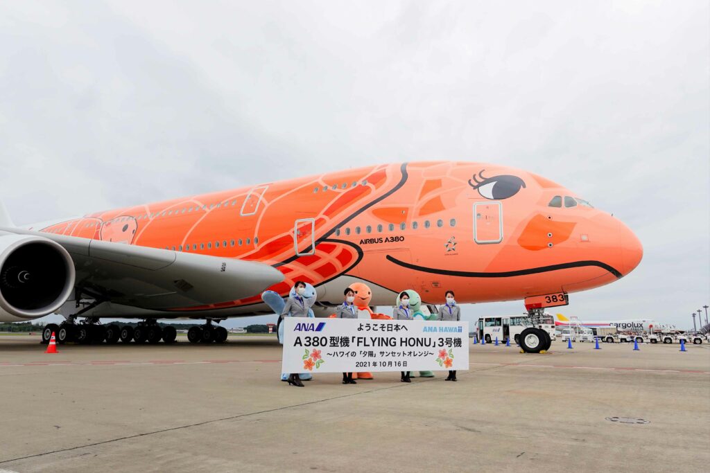 ANAが誇る超大型機FLYING HONU（フライングホヌ）ついに全機が日本に