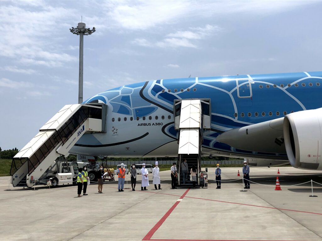 ANAが誇る超大型機FLYING HONU（フライングホヌ）ついに全機が