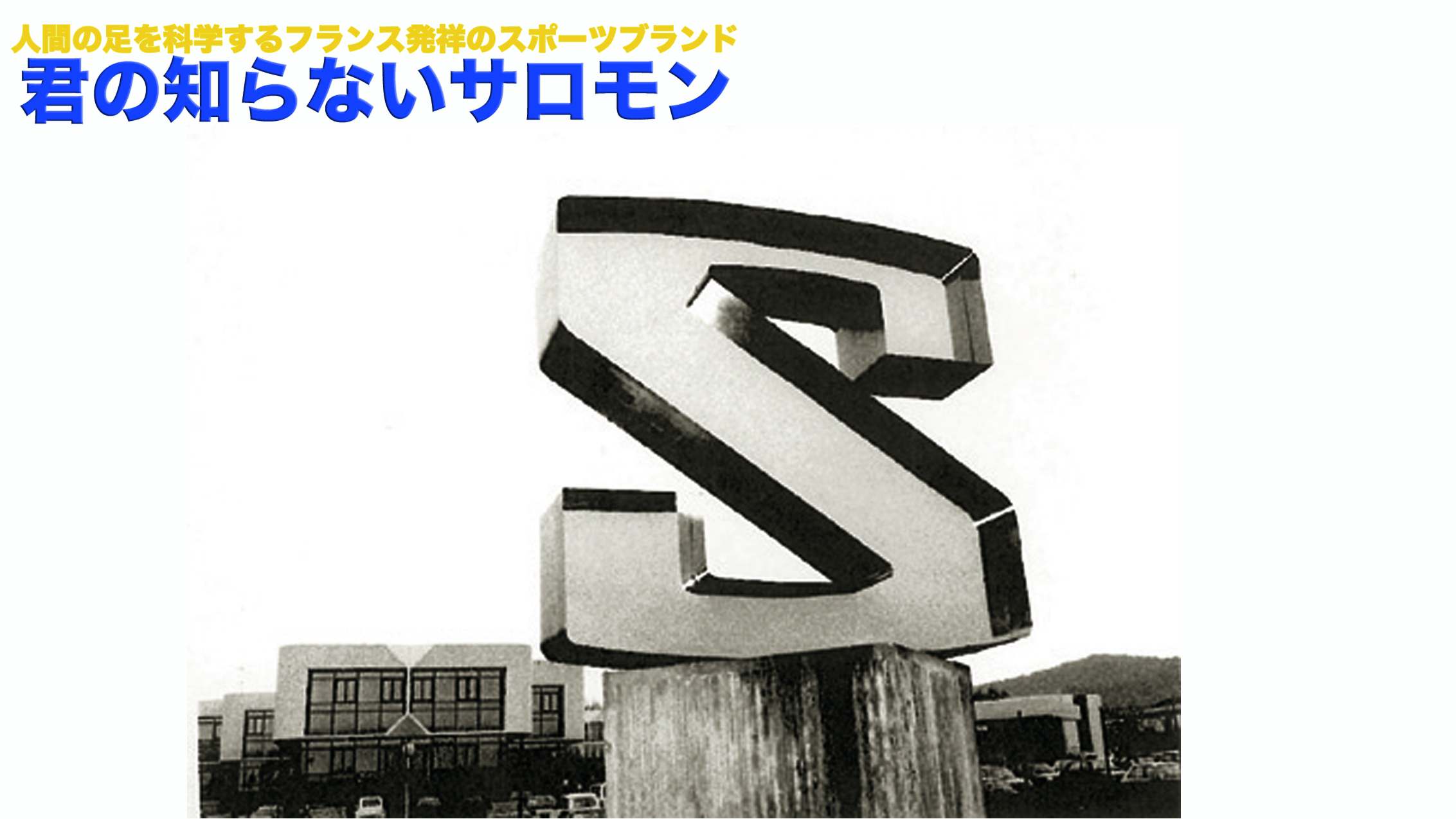 ☆即決☆本日のみ☆ブランド☆サロモン☆スキー☆フランス製