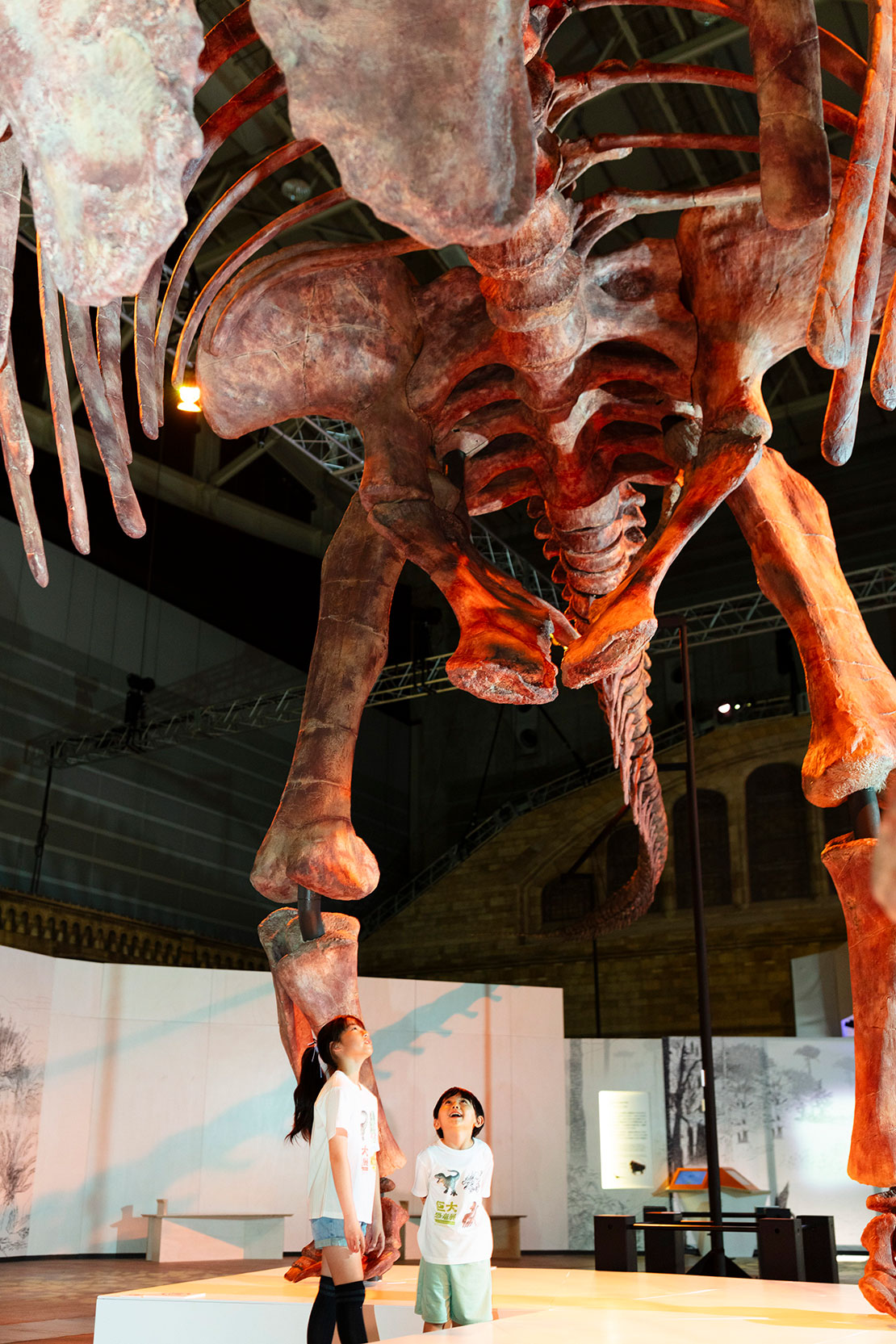 絶賛開催中！【〈大特集〉 超・恐竜の力】パタゴティタン·マヨルムに