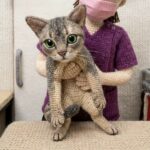 ねこやま大吉（N.Daikichi)